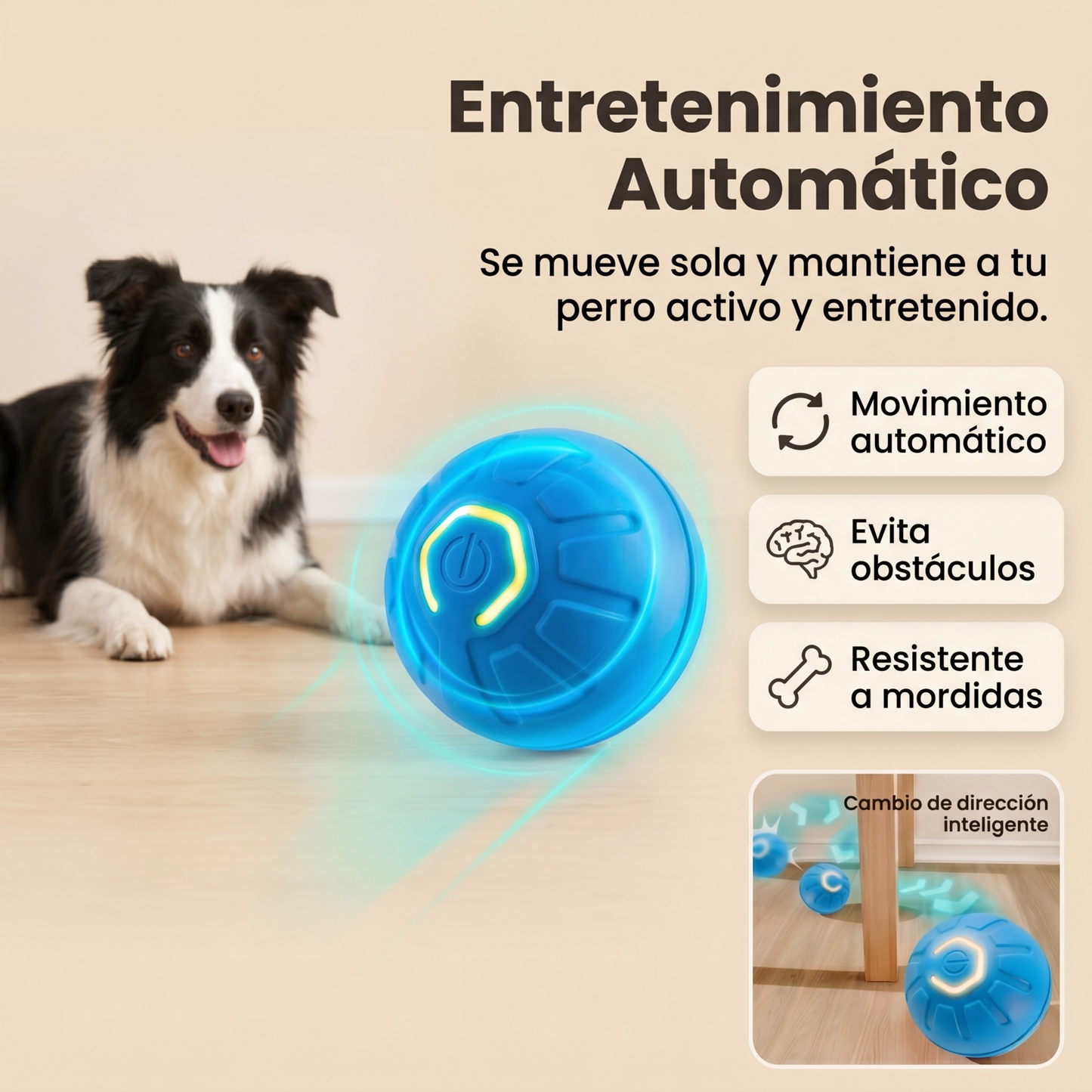 Original PawBall™