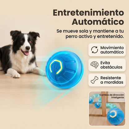 Original PawBall™
