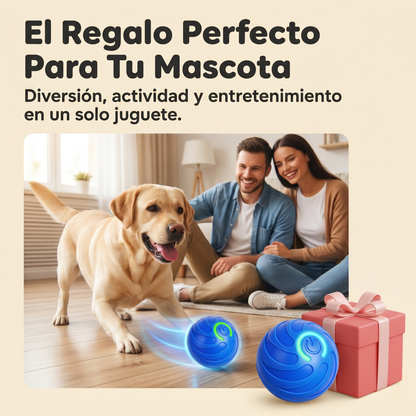 Original PawBall™