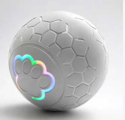 NEW Original PawBall™